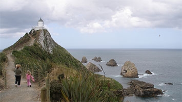 Local Activities Things to do in Catlins Coast